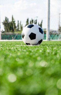 Futbol futbol futbol sahası yeşil çimenlerin üzerinde.
