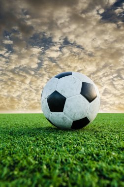 Futbol futbol futbol sahası yeşil çimenlerin üzerinde.