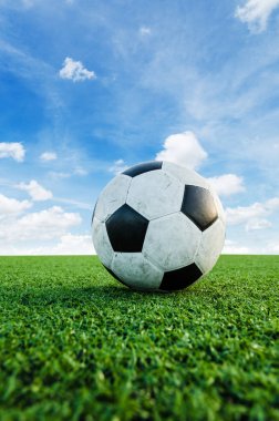 Futbol futbol futbol sahası yeşil çimenlerin üzerinde.