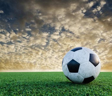 Futbol futbol futbol sahası yeşil çimenlerin üzerinde.