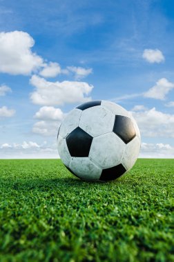 Futbol futbol futbol sahası yeşil çimenlerin üzerinde.