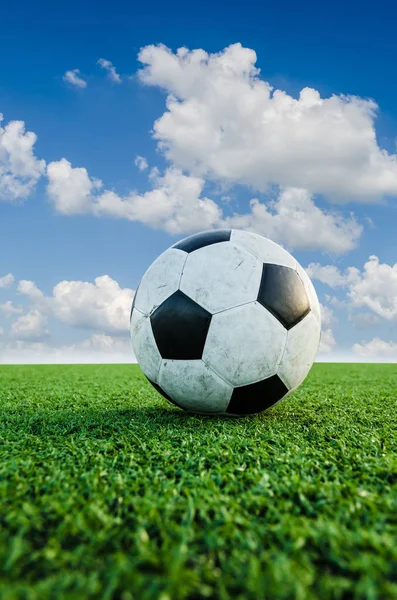 Futbol futbol futbol sahası yeşil çimenlerin üzerinde.