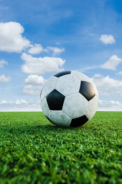 Futbol futbol futbol sahası yeşil çimenlerin üzerinde.