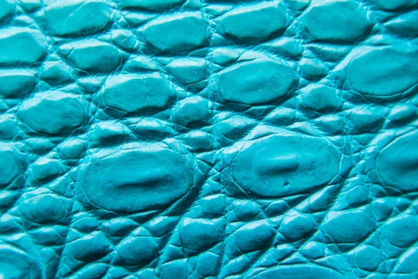 Fundo Textura Pele Barriga Crocodilo Água Doce Esta Imagem Crocodilo — Fotografia de Stock