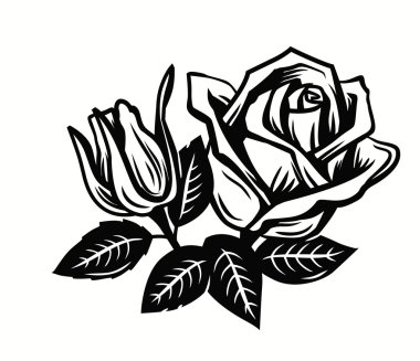 güzel güller çiçek