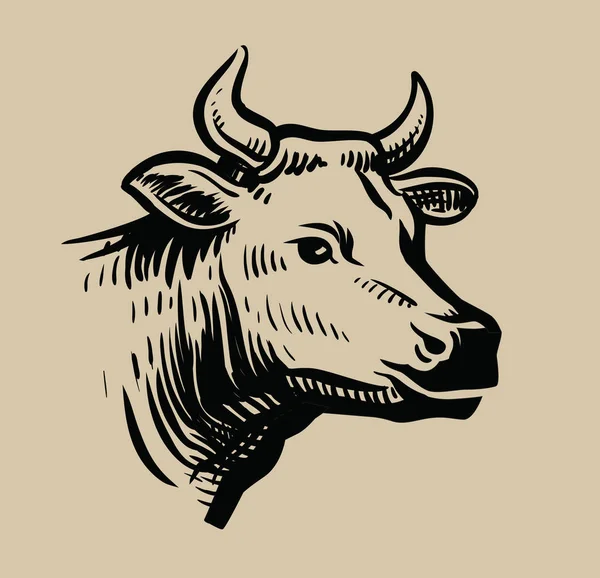 Vaca negro cabeza — Vector de stock