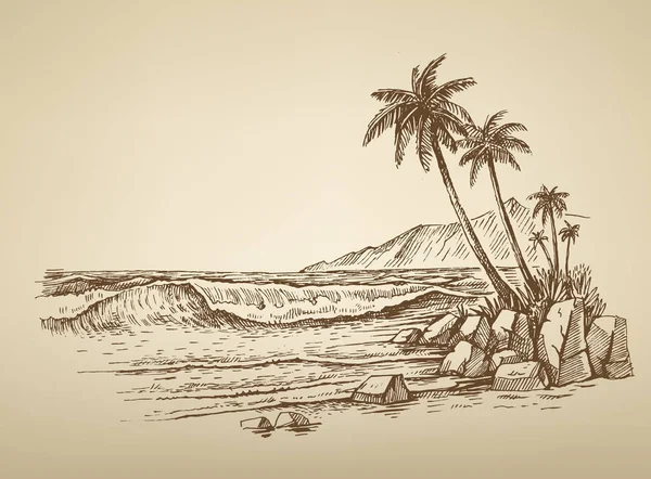 Plage avec des palmiers illustration — Image vectorielle