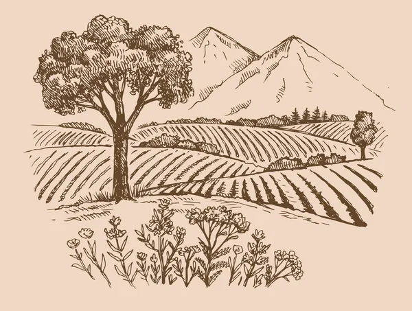 Montaña paisaje vector — Archivo Imágenes Vectoriales