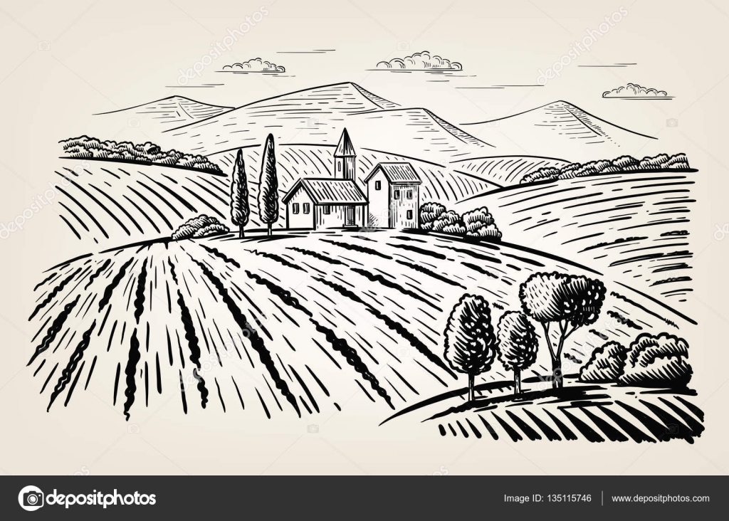 Immagine Vettoriale Campi Illustrazioni Vettoriali Campi Depositphotos