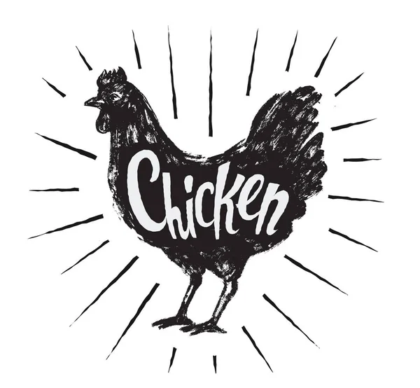 Tavuk elle çizilmiş — Stok Vektör