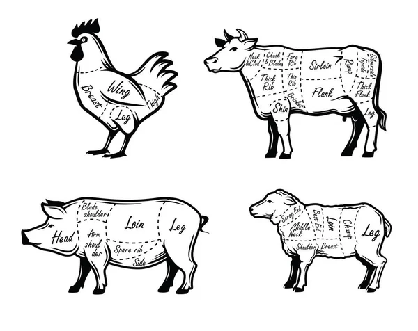 Slagers begeleiden symbolen — Stockvector