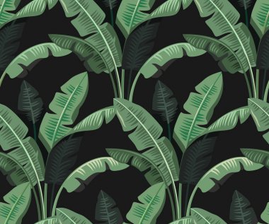 tropikal palmiye yaprakları