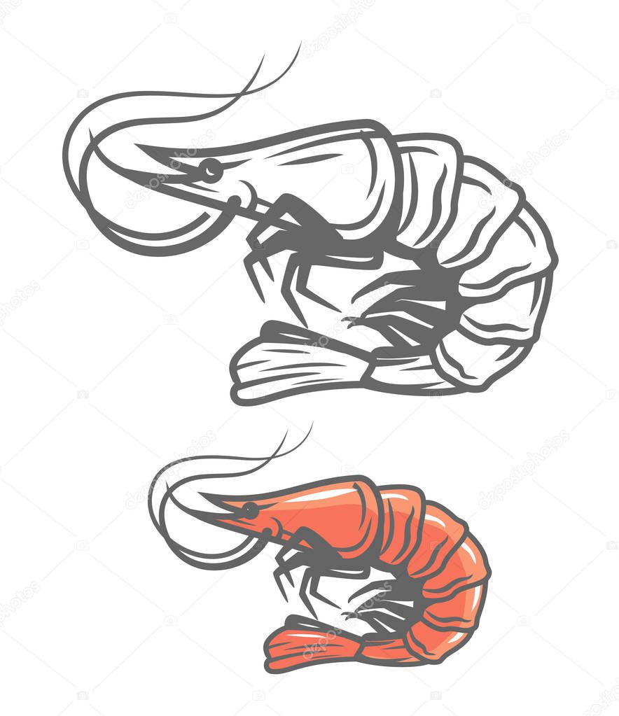 Vector color prawn icon on white background