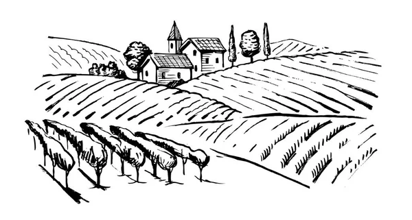 Ilustracja z wineyard — Wektor stockowy
