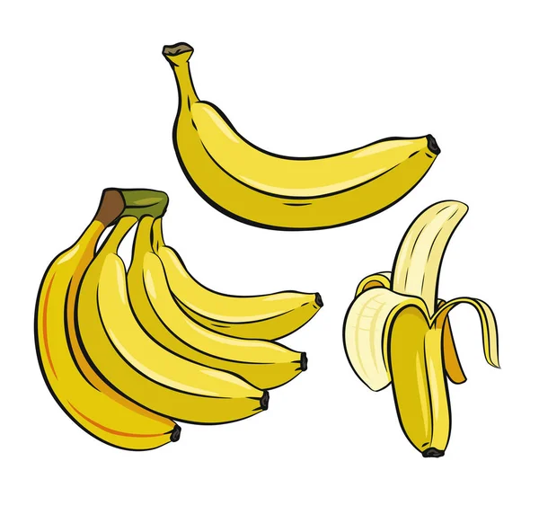 Набор жёлтых бананов . — стоковый вектор