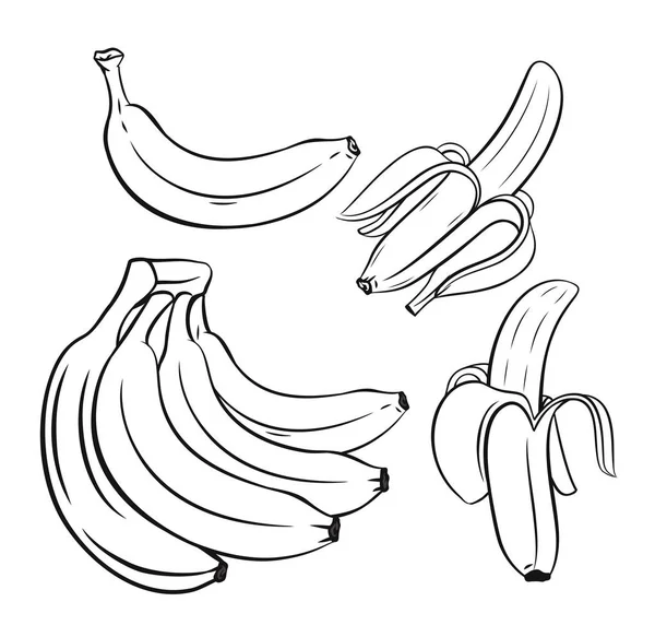 Conjunto de esboços Bananas . — Vetor de Stock