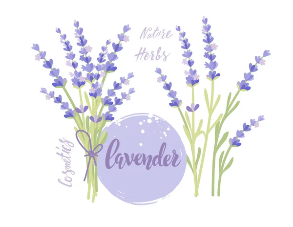 Lavendelstrauß — Stockvektor