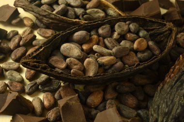 Kakao meyvesi ahşap bir masada yatıyor.