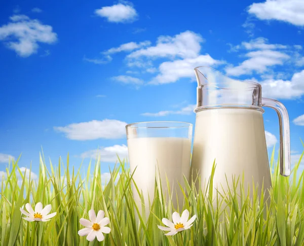 Glas melk en kruik in gras. — Stockfoto