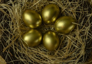 several golden chicken eggs in a nest