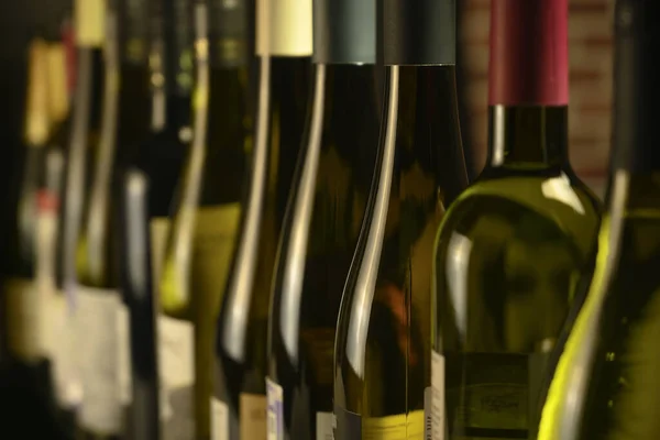 Muitas garrafas de vinho estão em uma fileira na adega — Fotografia de Stock