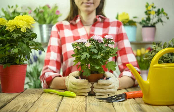 Girl holding a flower in a pot against background of a flower shop — Stock Photo, Image