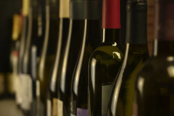 Many bottles of wine stand in a row in the cellar — Stock Photo, Image