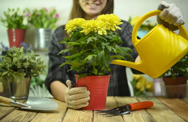Woman watering a flower from a watering can in a flower shop — Stock Photo, Image