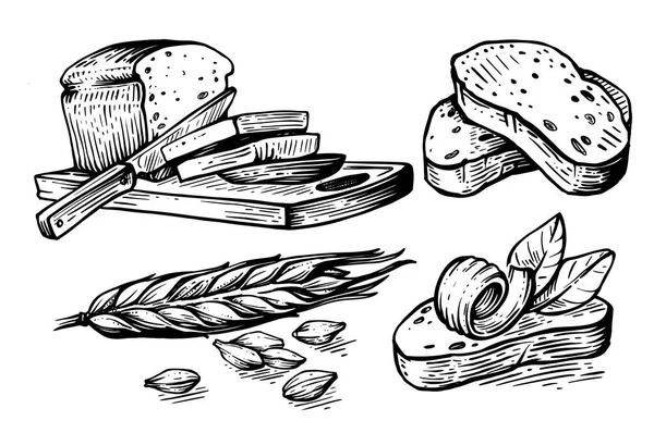 Kézzel húzott szeletelt kenyér és búza gabonával — Stock Vector