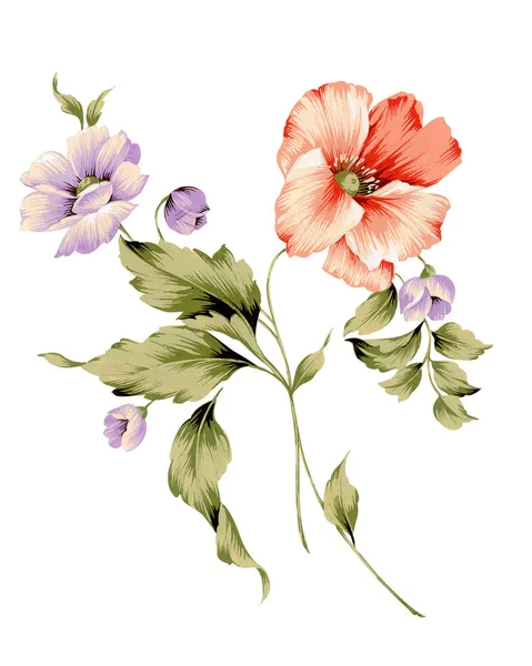 Illustration flower set — Stockfoto