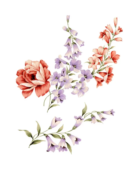 Illustratie bloem set — Stockfoto