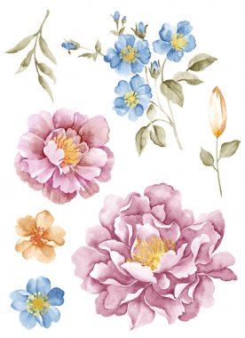  Sulu Boya çizim çiçek 