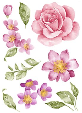  Sulu Boya çizim çiçek 