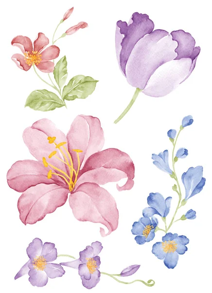Ακουαρέλα εικονογράφηση λουλούδι — Φωτογραφία Αρχείου