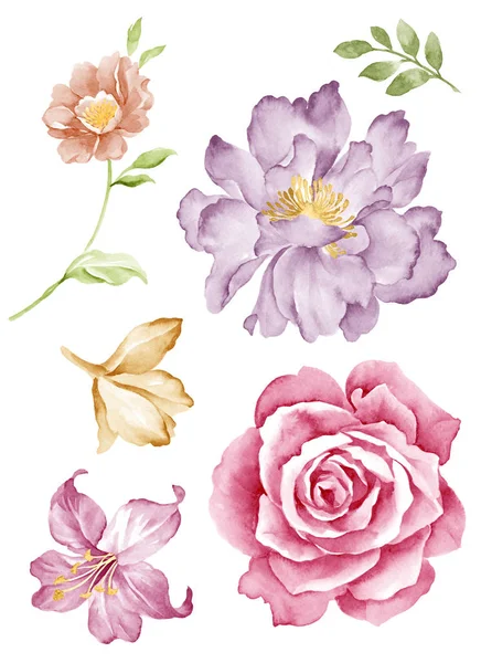 Aquarel illustratie bloem — Stockfoto