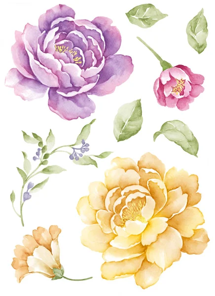 Watercolor illustration flower — Stock Photo, Image
