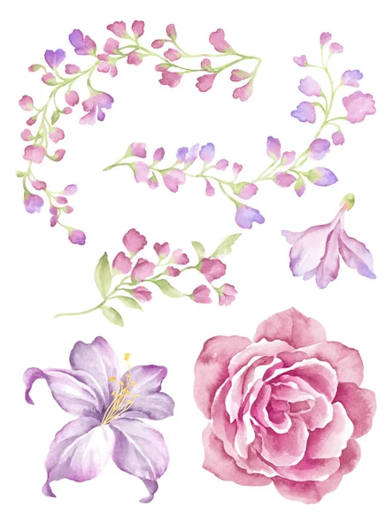 Akwarela ilustracja kwiat — Zdjęcie stockowe