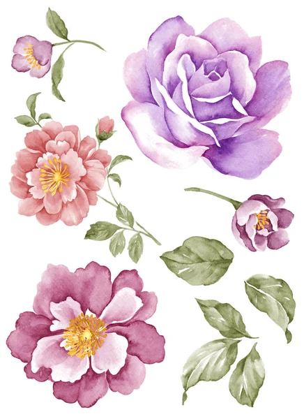 Aquarell Illustration Blume — Stockfoto