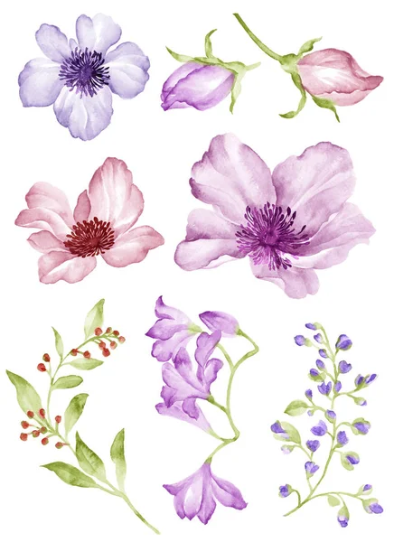 Watercolor illustration flower — Stock Photo, Image