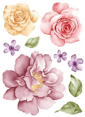 Sulu Boya çizim çiçek