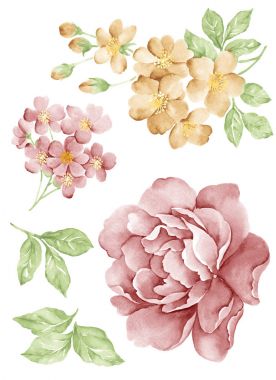 Sulu Boya çizim çiçek