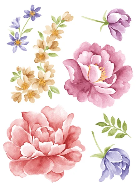  Sulu Boya çizim çiçek 