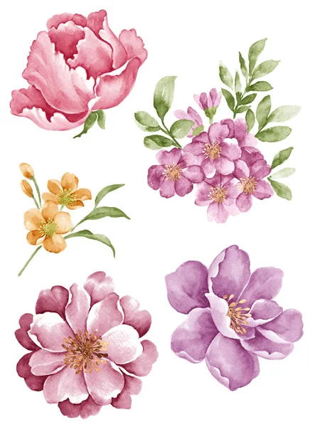 Watercolor illustration flower — Stock Photo, Image