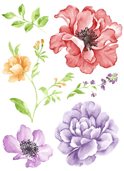  Sulu Boya çizim çiçek 