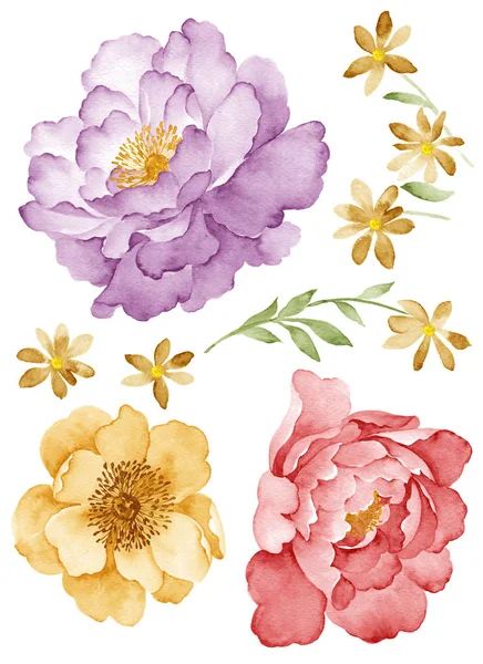Aquarell Illustration Blume — Stockfoto