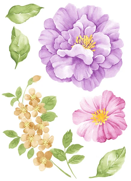 Watercolor illustration flower — Stock Photo, Image