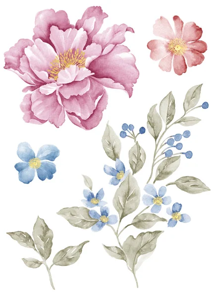 Aquarelle illustration fleur — Photo