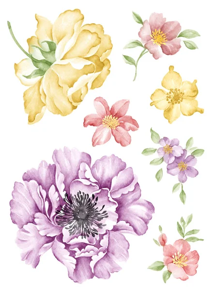 Aquarel illustratie bloem — Stockfoto