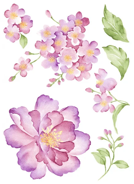 Akvarell illustration blomma — Stockfoto