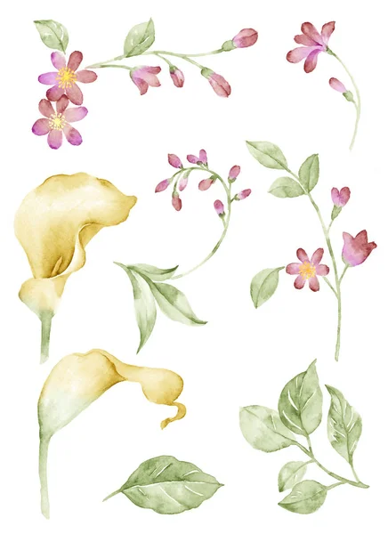 Aquarell Illustration Blume — Stockfoto